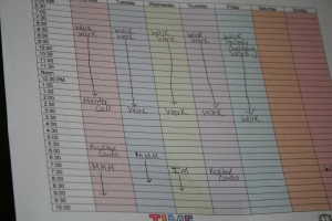 Carlene Meloy's planner shows how she balances her personal life with her work schedule.