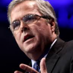 Bush