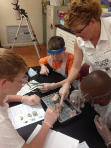 At St. Luke's science camp, teaccher Diann Bacchus talks sheep brain with (from top, clockwise) Tyler Dempsey, 12, Widmaier Maurice, 13, and James Pabisz, 13. The Notre Dame Center for STEM Education helped St. Luke kick off the 2-week camp last year.